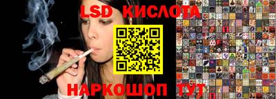 крисы Кунгур