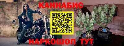 крисы Кунгур